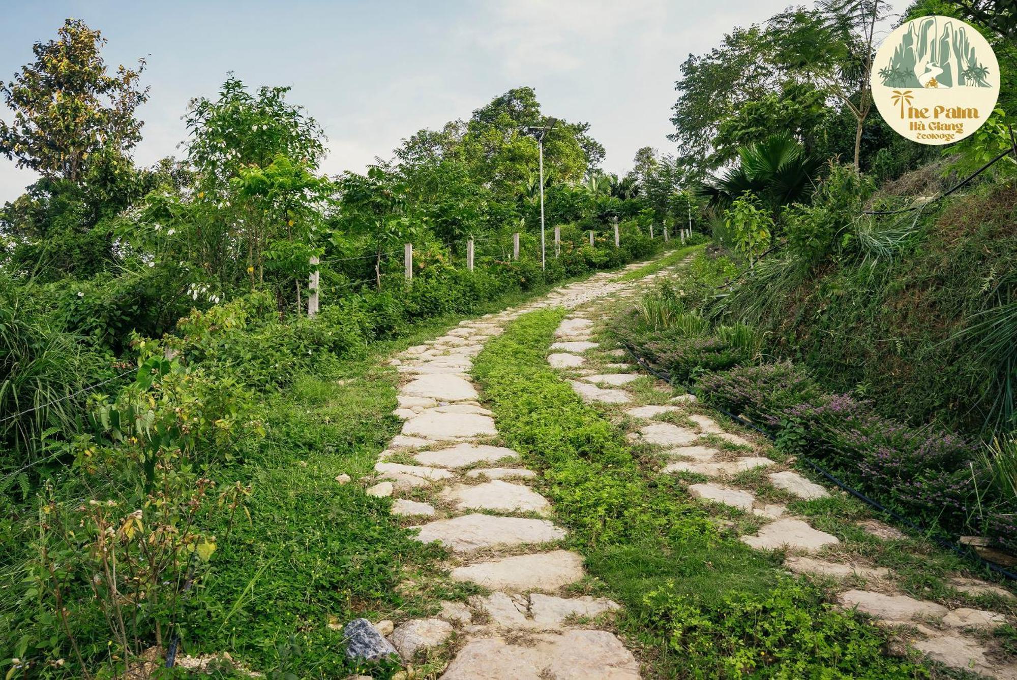 Tvpalm Ecolodge Ha Giang Luaran gambar