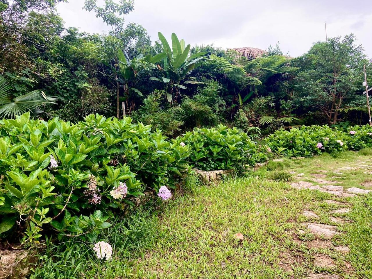 Tvpalm Ecolodge Ha Giang Luaran gambar