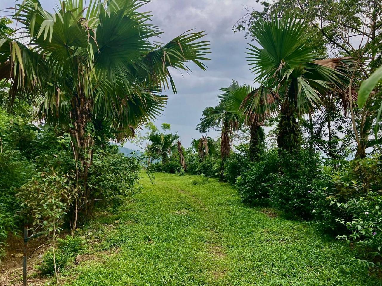 Tvpalm Ecolodge Ha Giang Luaran gambar