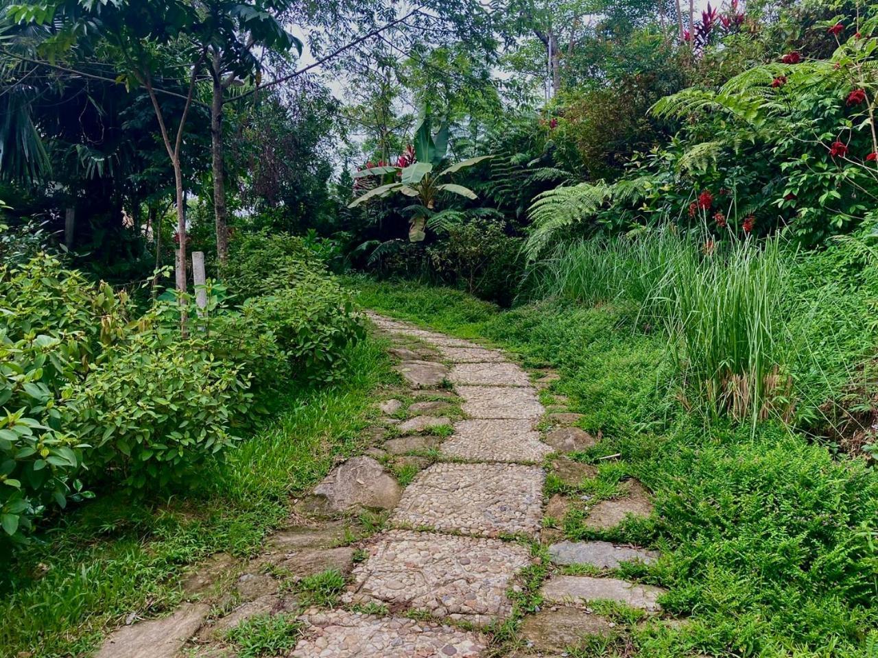 Tvpalm Ecolodge Ha Giang Luaran gambar